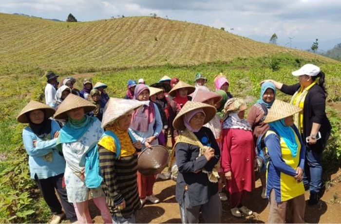 Ketika Bertani Tak Lagi Menjanjikan, Masih Bisakah Kita Bicara Ketahanan Pangan?
